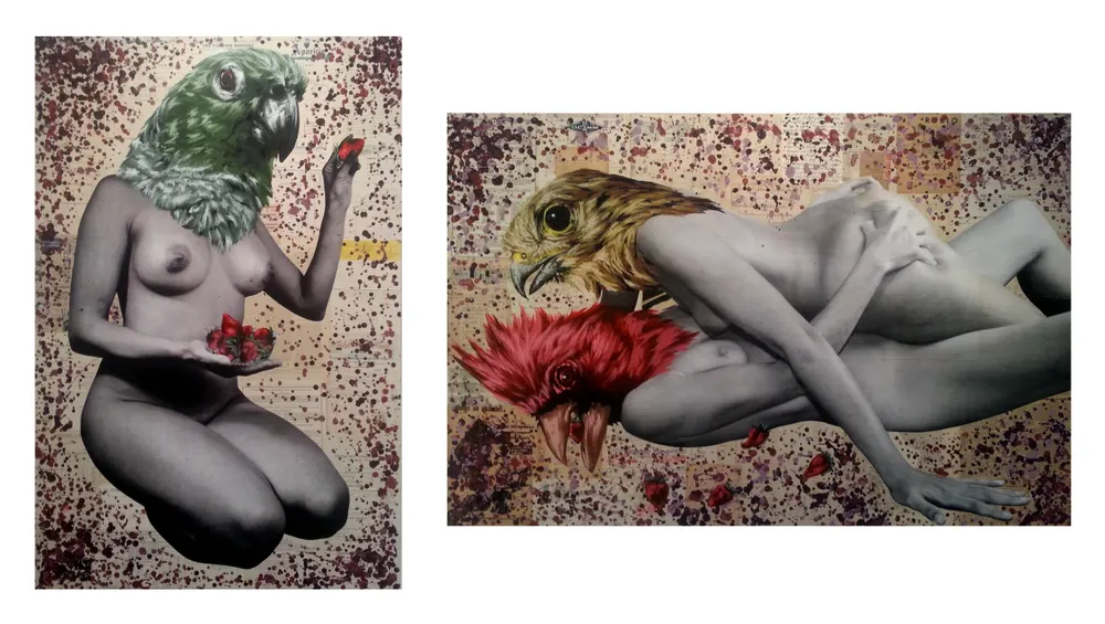 Paraphilia 12
