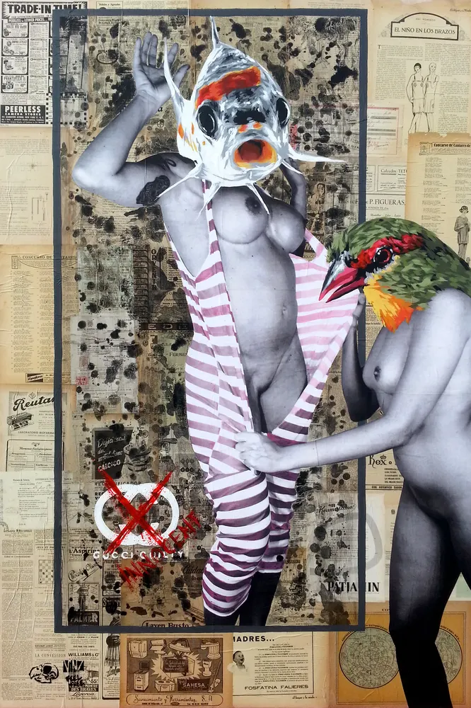 Paraphilia 4