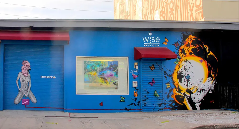 Walls in Wynwood - Miami 9
