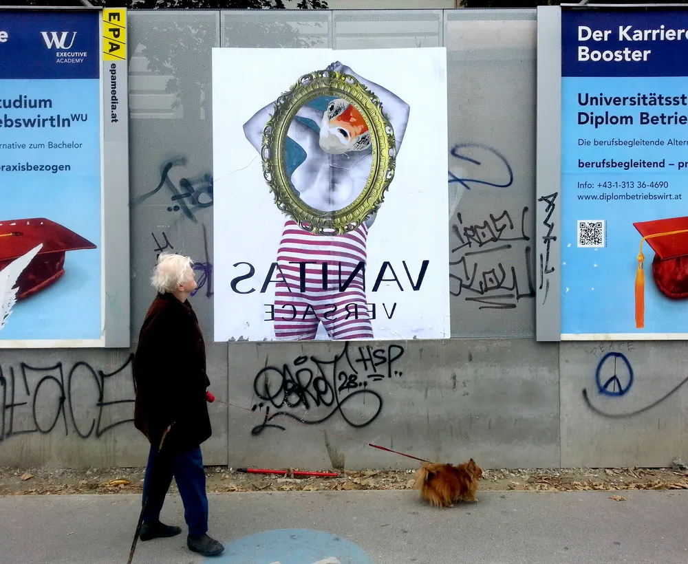 Muros en Viena 4
