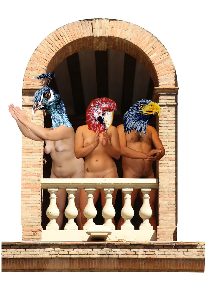 Gracies - MUVIM 19